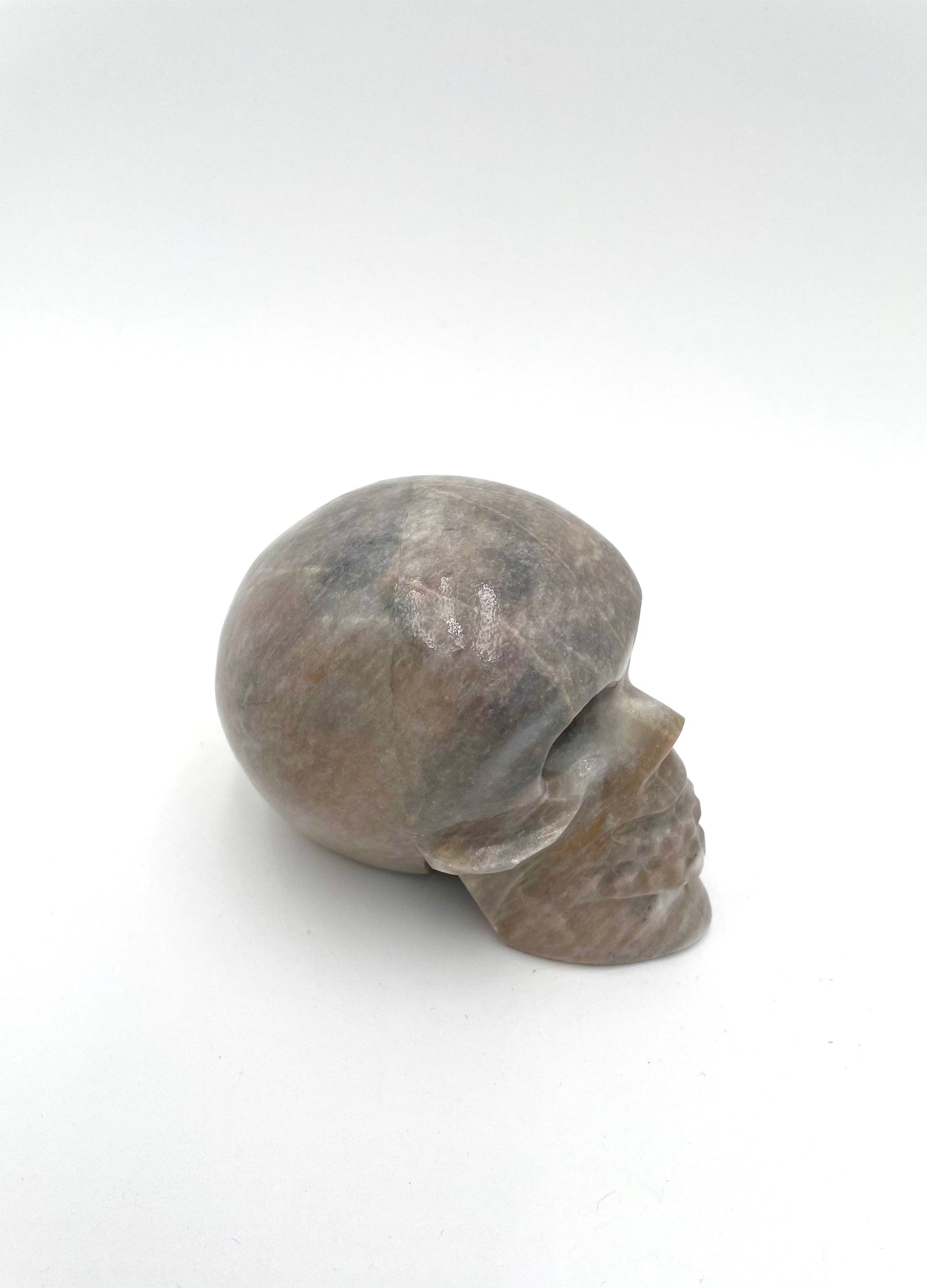 Mexoul Beige Marble skull (L)
