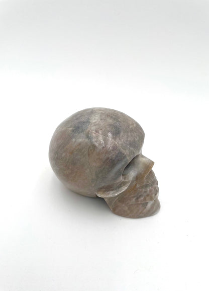 Mexoul Beige Marble skull (L)