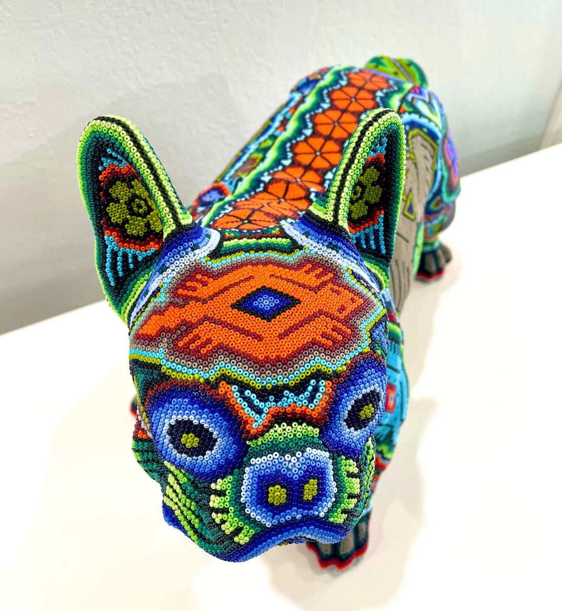 Mexoul French bulldog