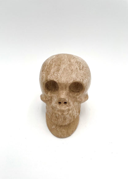 Mexoul Tan Marble skull (L)
